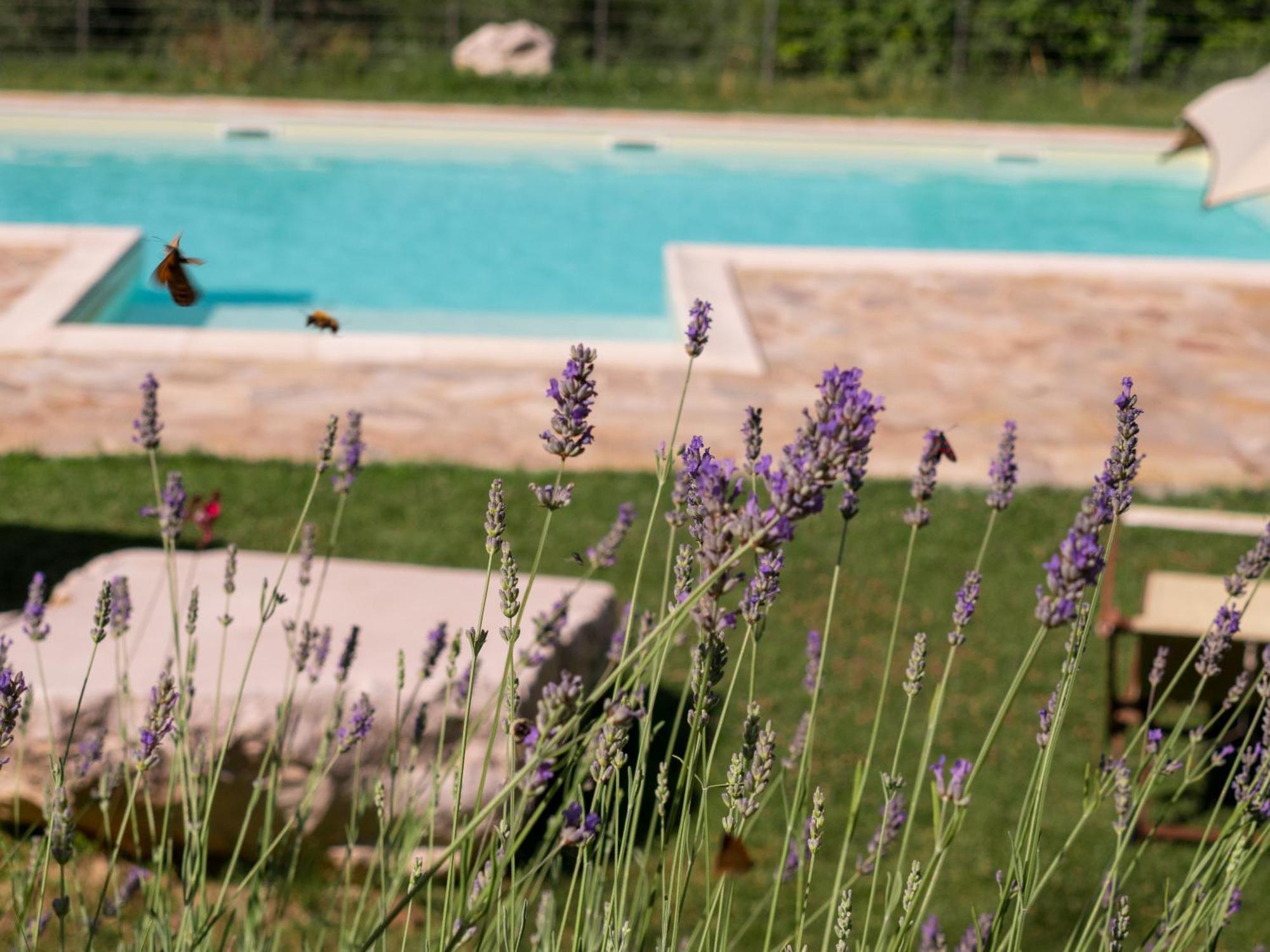 Country House La Celletta Urbino Extérieur photo